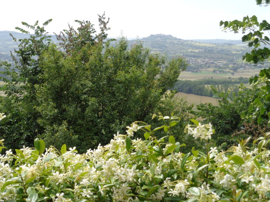 Agriturismo La Torraccia Todi Dış mekan fotoğraf